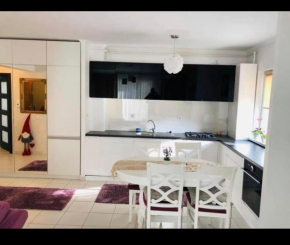 Apartament 2 camere complet mobilat